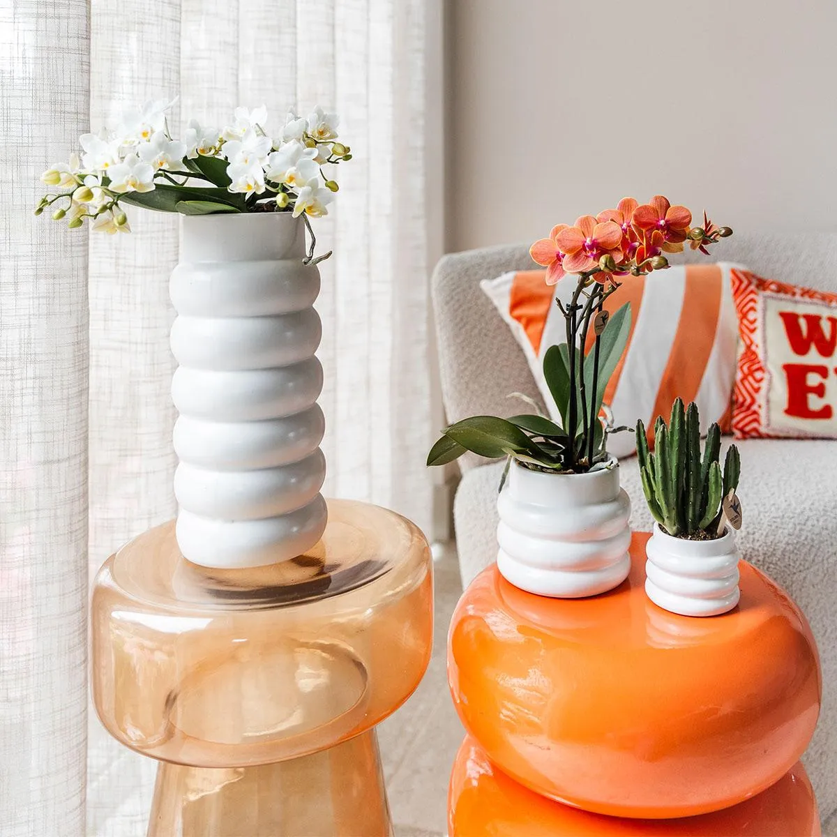 Plant and Stories cache-pot céramique blanc bulles 9 cm graphique