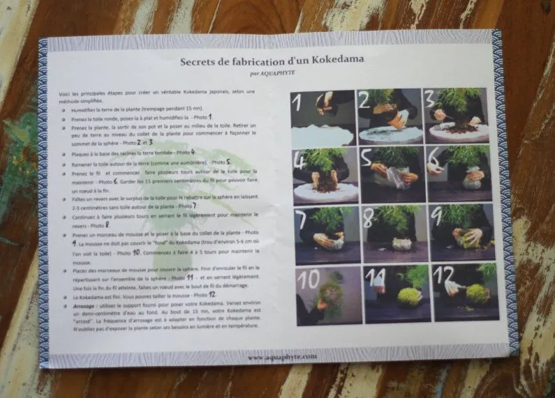 AQUAPHYTE Kit kokedama + plante à faire soi-même