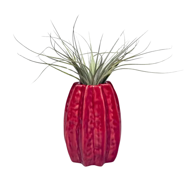 Airplantshop Carambola vase céramique rouge 7-11cm