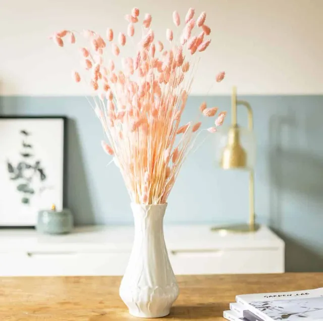 Réconciliation Végétale Phalaris bouquet fleurs séchées rose 150g