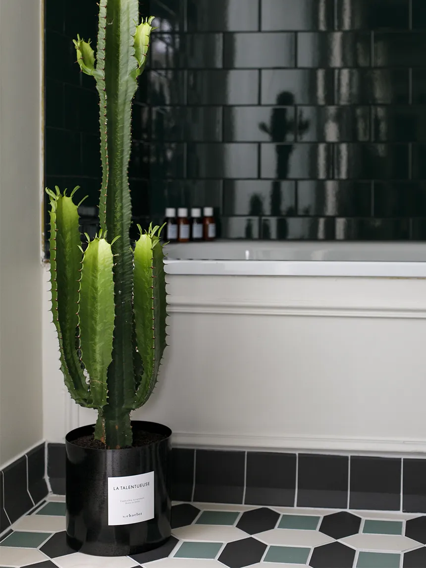 By Charlot La Talentueuse recharge euphorbe 75-85 cm