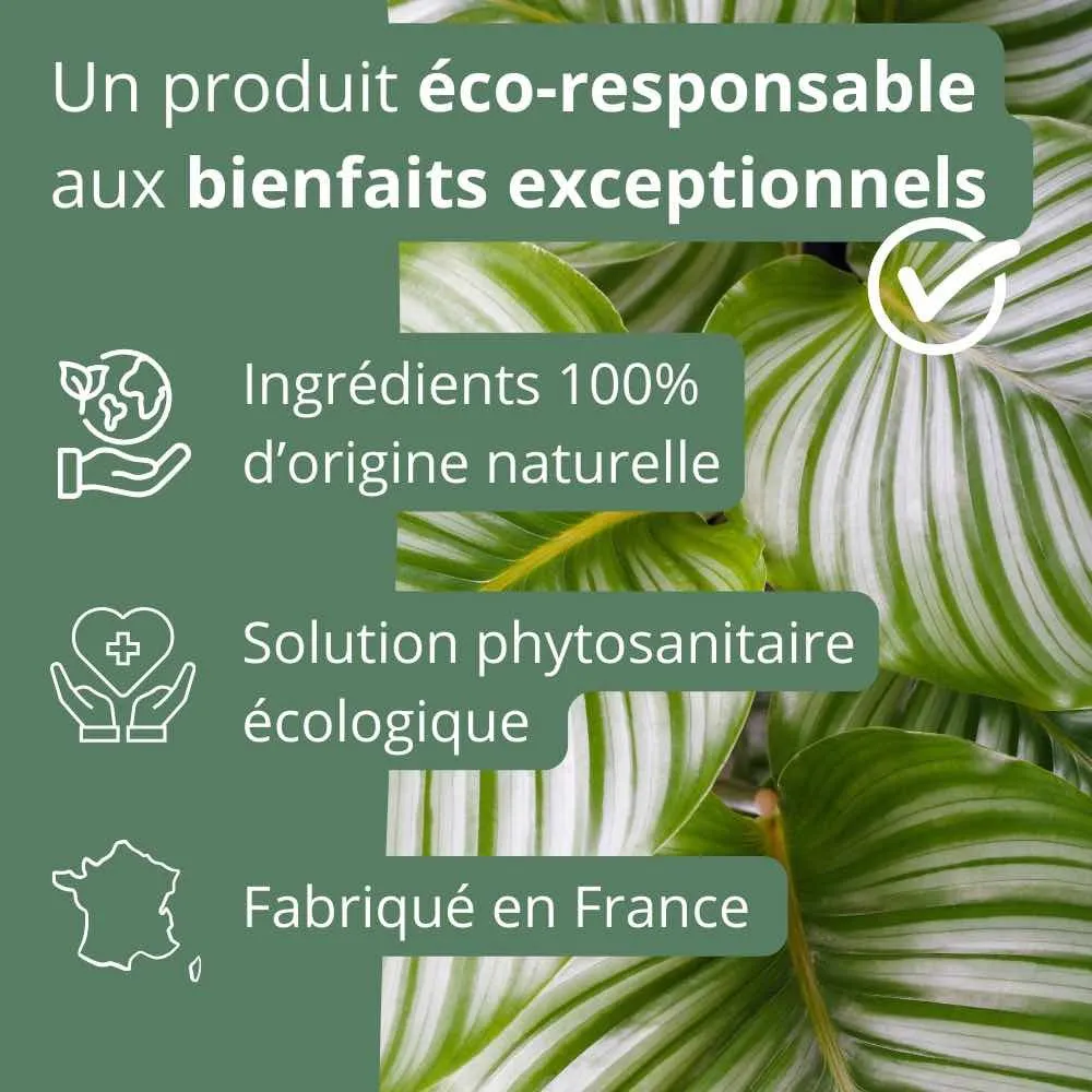 Plant and Stories savon noir plantes 100 ml naturel