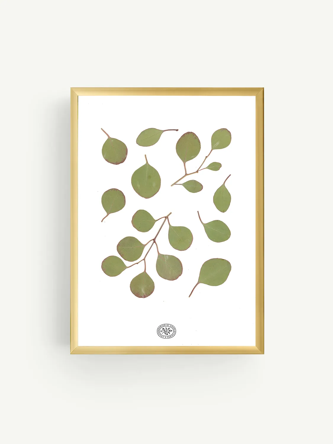 By Charlot herbier Eucalyptus Blanc 21x30 cm
