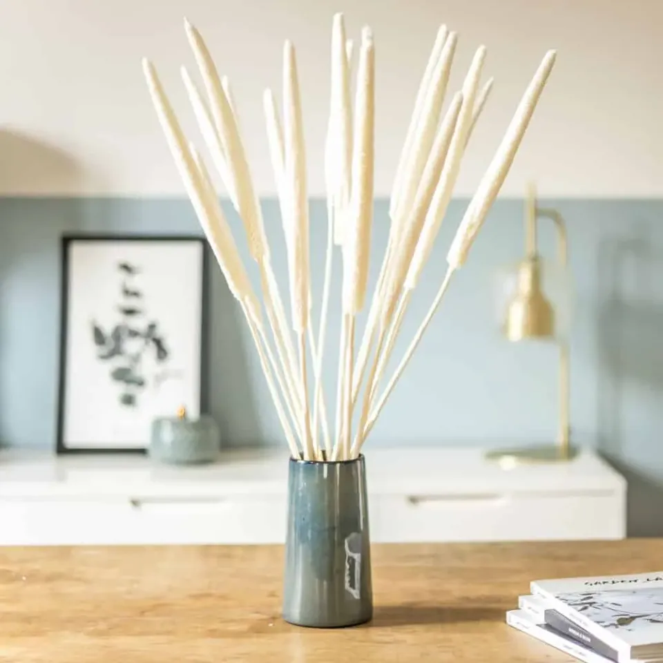 Réconciliation Végétale babala bouquet fleurs séchées blanc 15 tiges