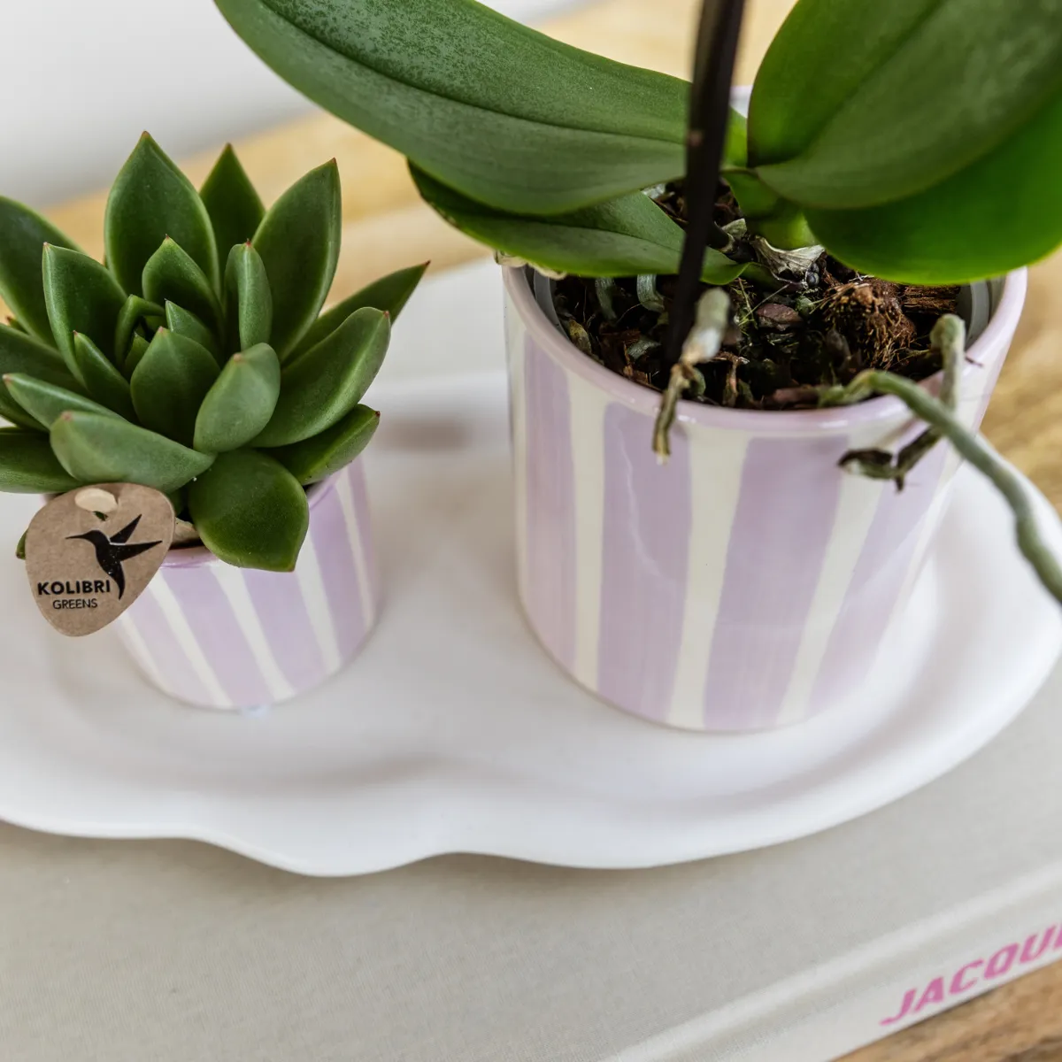 Plant and Stories Painted Stripe cache-pot céramique jaune 9 cm