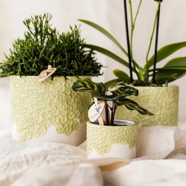 Plant and Stories lot 3 cache-pots céramique vert 6 9 12 cm floral