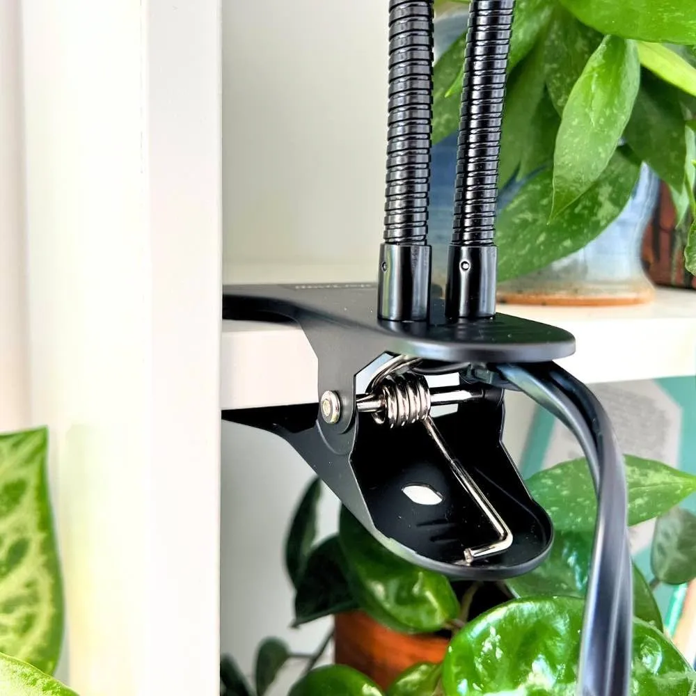 Plant and Stories Lampe horticole spectre complet 2 ampoules