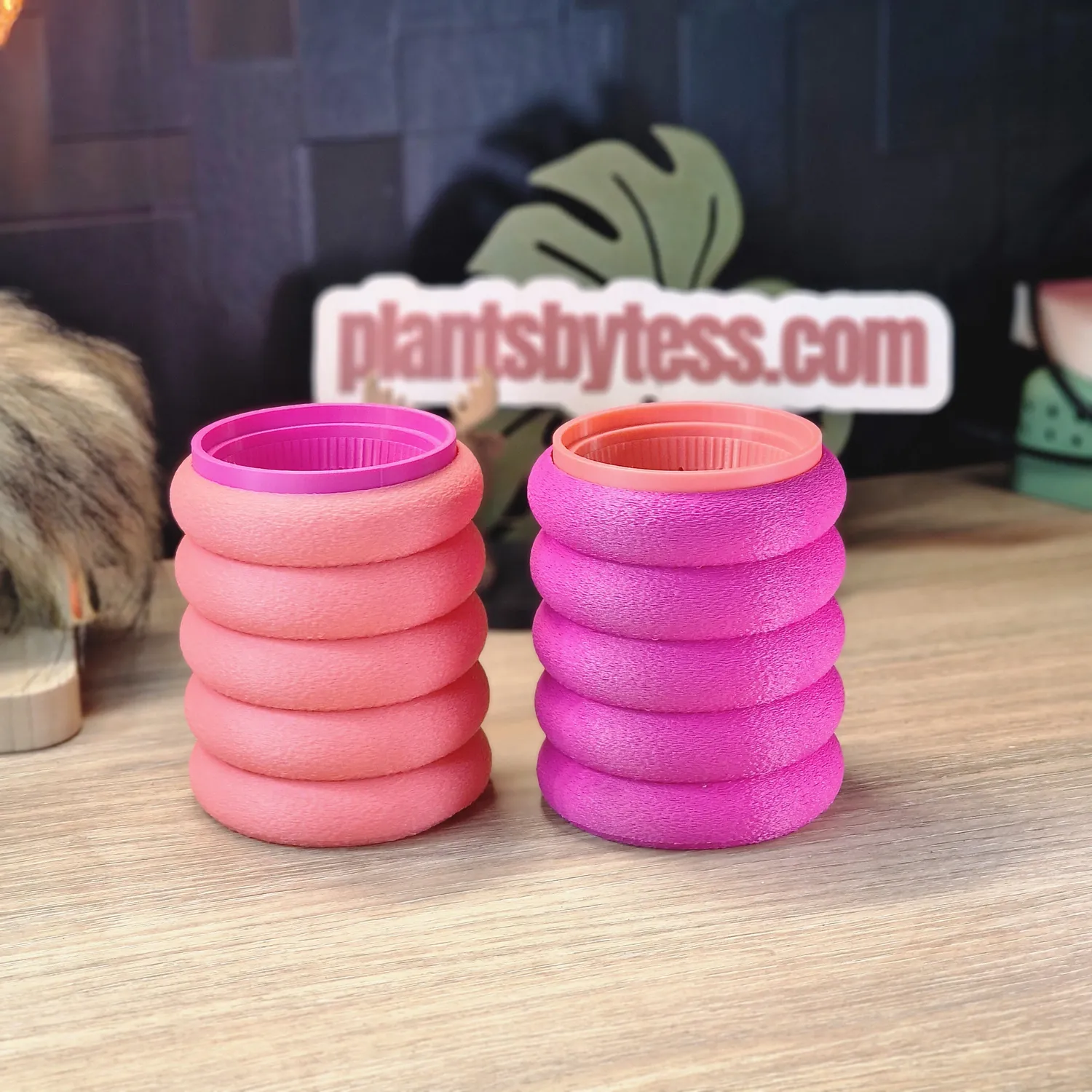 plant.ess Marshmallow Midi Sips pots auto-arrosants roses lot 2