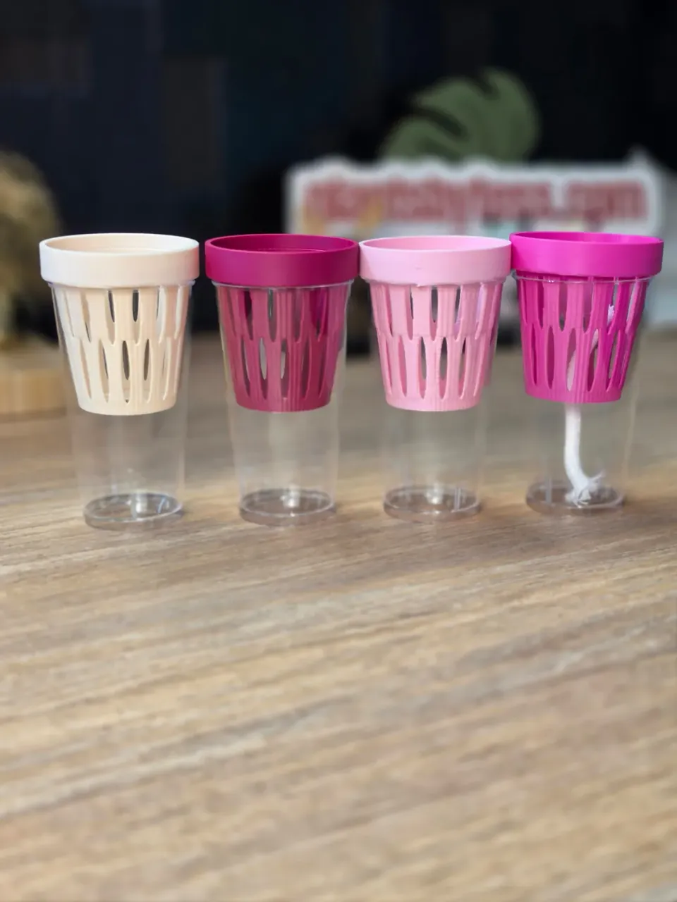 plant.ess Mini Sips pots auto-arrosants lot 4 transparents