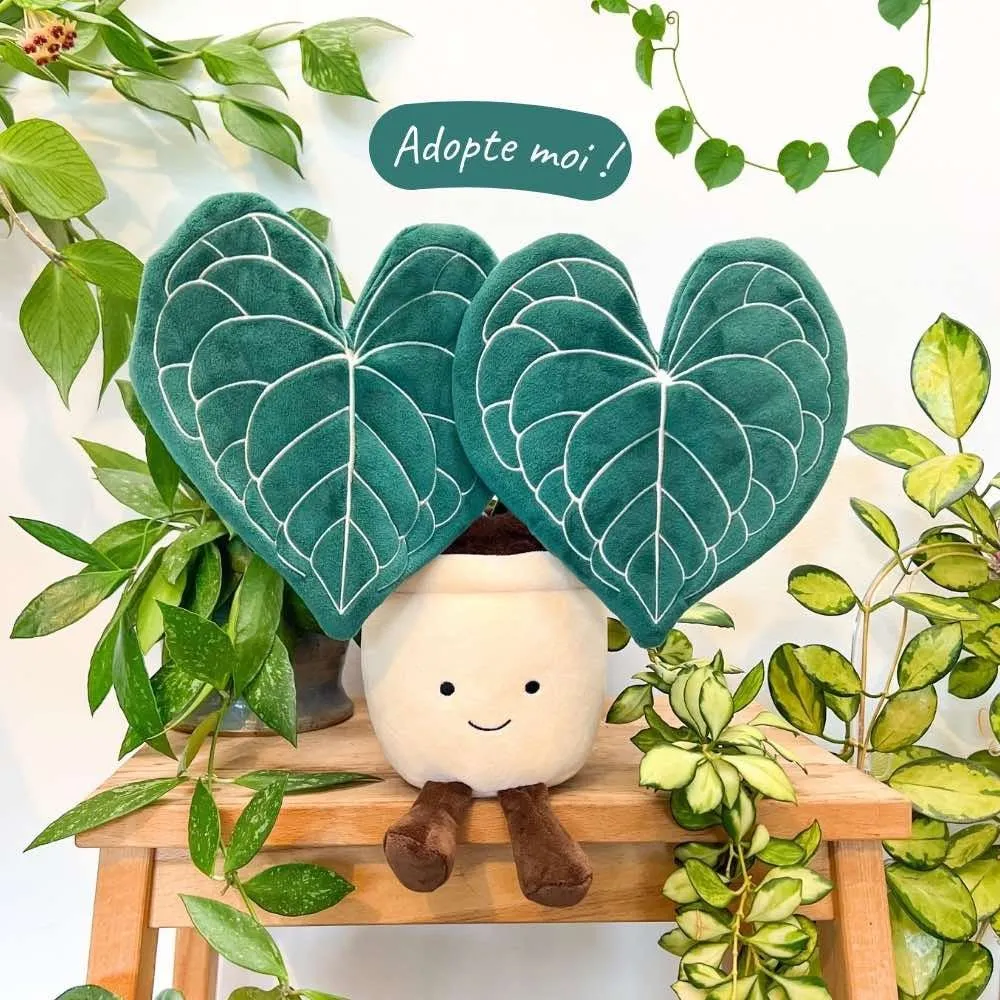 Plant and Stories Clari peluche mascotte 1 peluche + sticker doré