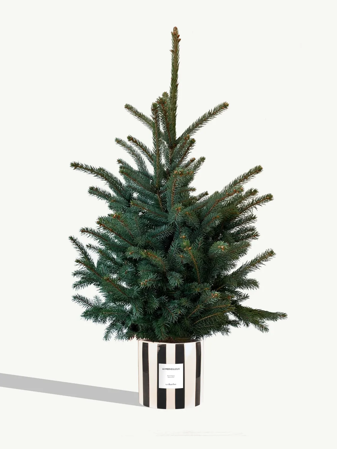 By Charlot Le Merveilleux sapin 120 cm pot 24 cm coffret