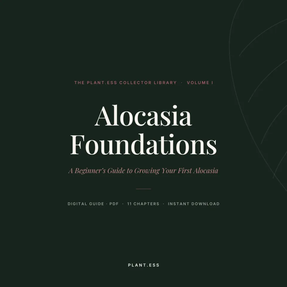 plant.ess Alocasia Foundations guide numérique Vol. I entretien