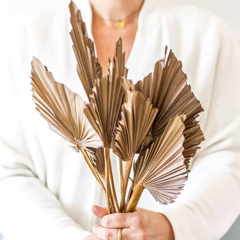 Réconciliation Végétale Palm Spear bouquet feuilles chocolat x10