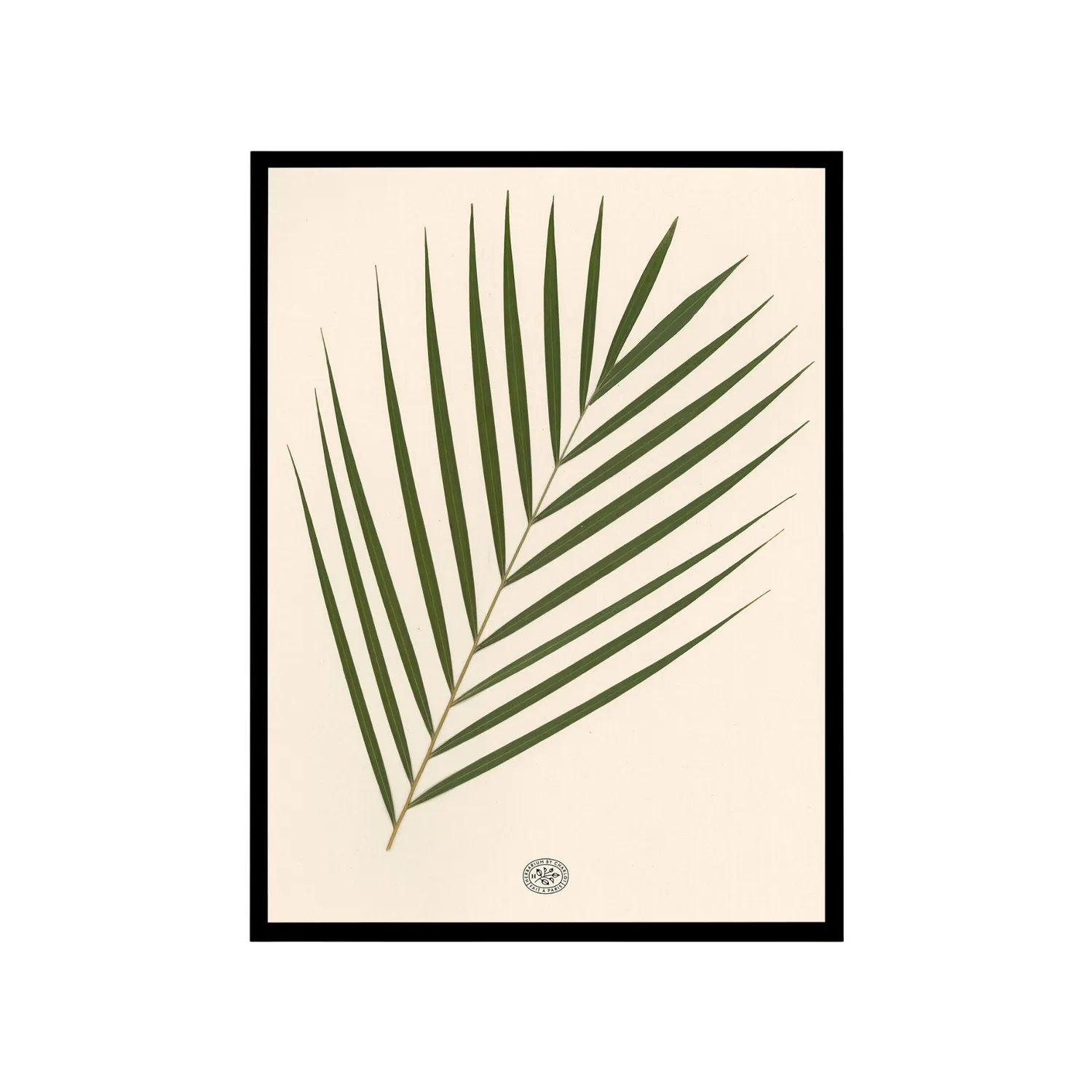 By Charlot herbier Palmier fond beige 30x40