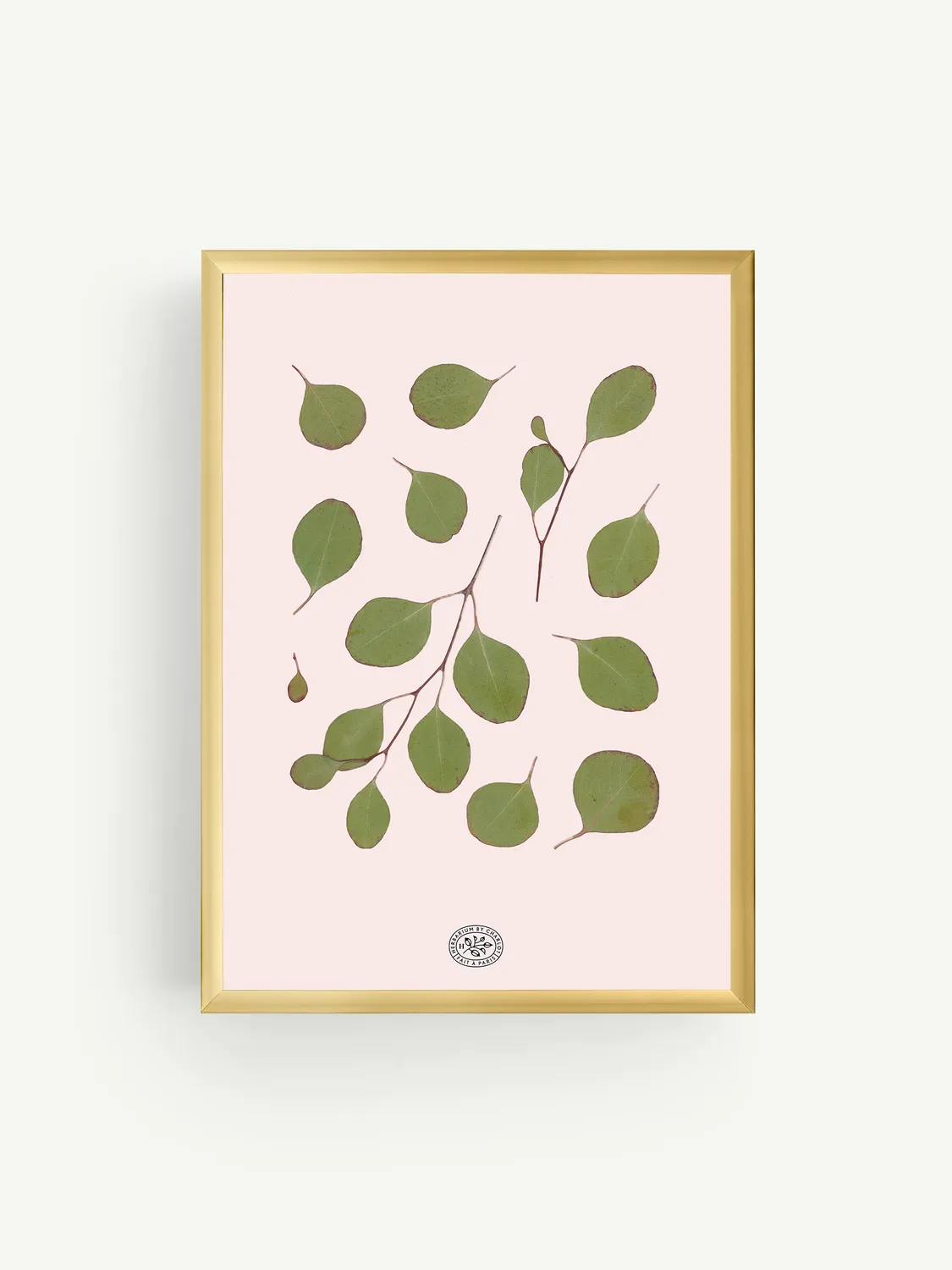 By Charlot Herbier Eucalyptus Rose tableau 21x30 rose