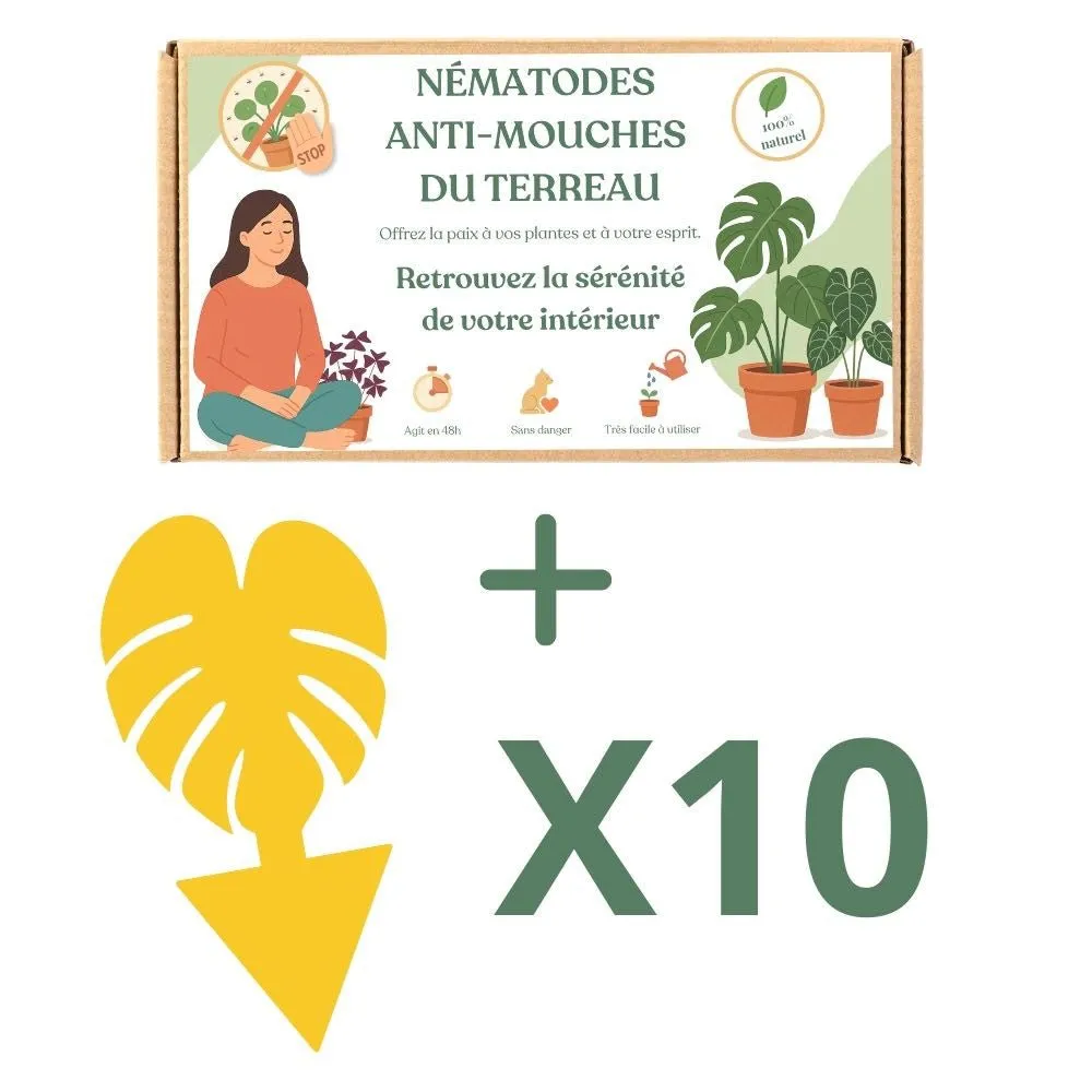 Plant and Stories Felti nématodes anti-moucherons 5 millions