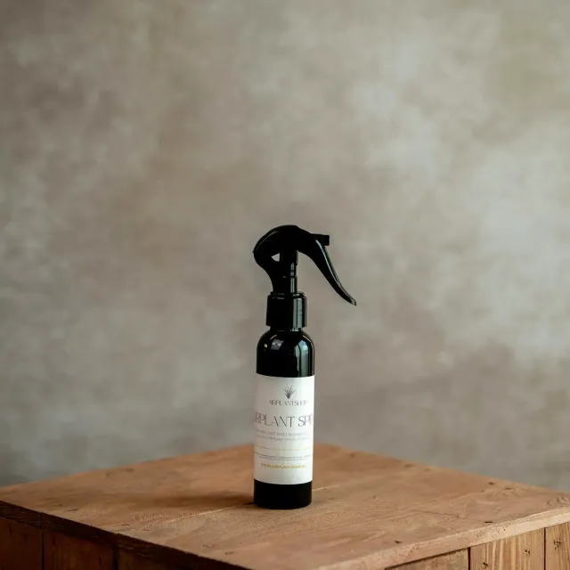 Airplantshop Tillandsia spray nutritif 120ml noir
