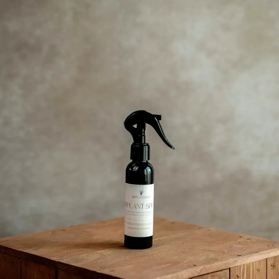 Airplantshop Tillandsia spray nutritif 120ml noir