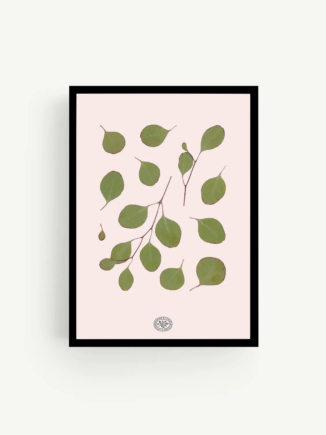 By Charlot Herbier Eucalyptus Rose tableau 21x30 rose