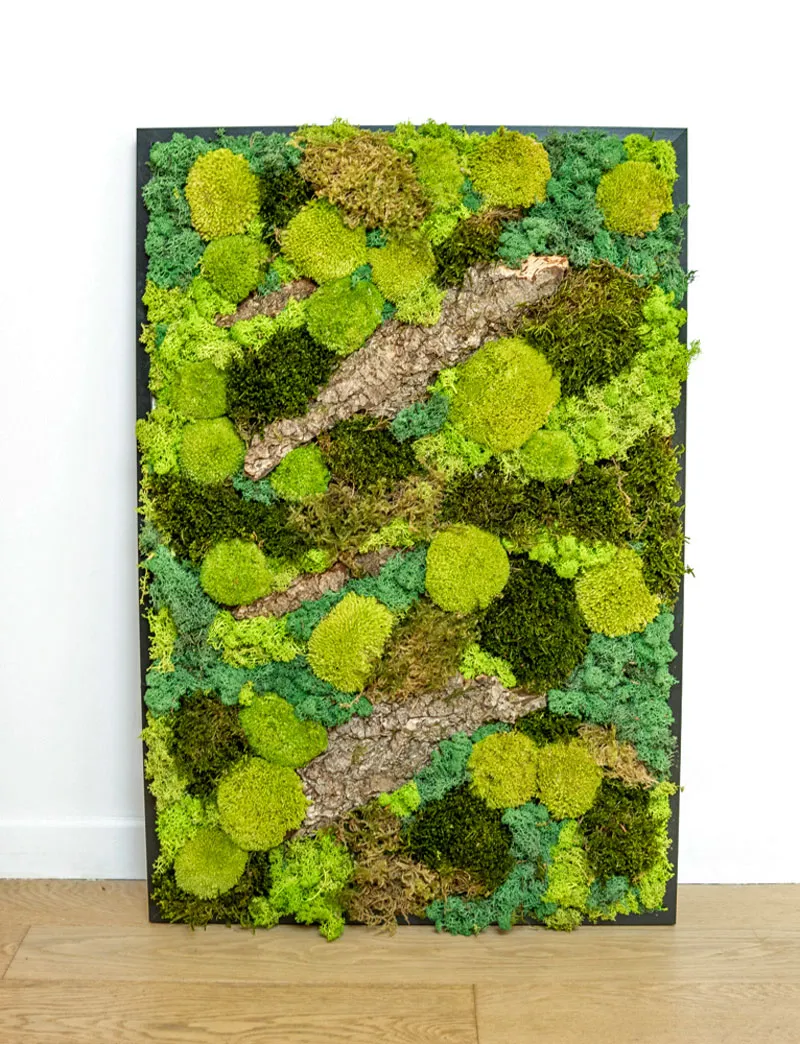 Réconciliation Végétale Forest tableau végétal stabilisé rectangulaire 61x91
