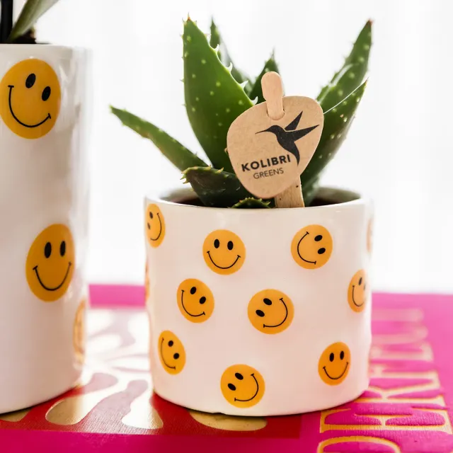 Plant and Stories Smiley cache-pot céramique 6 cm