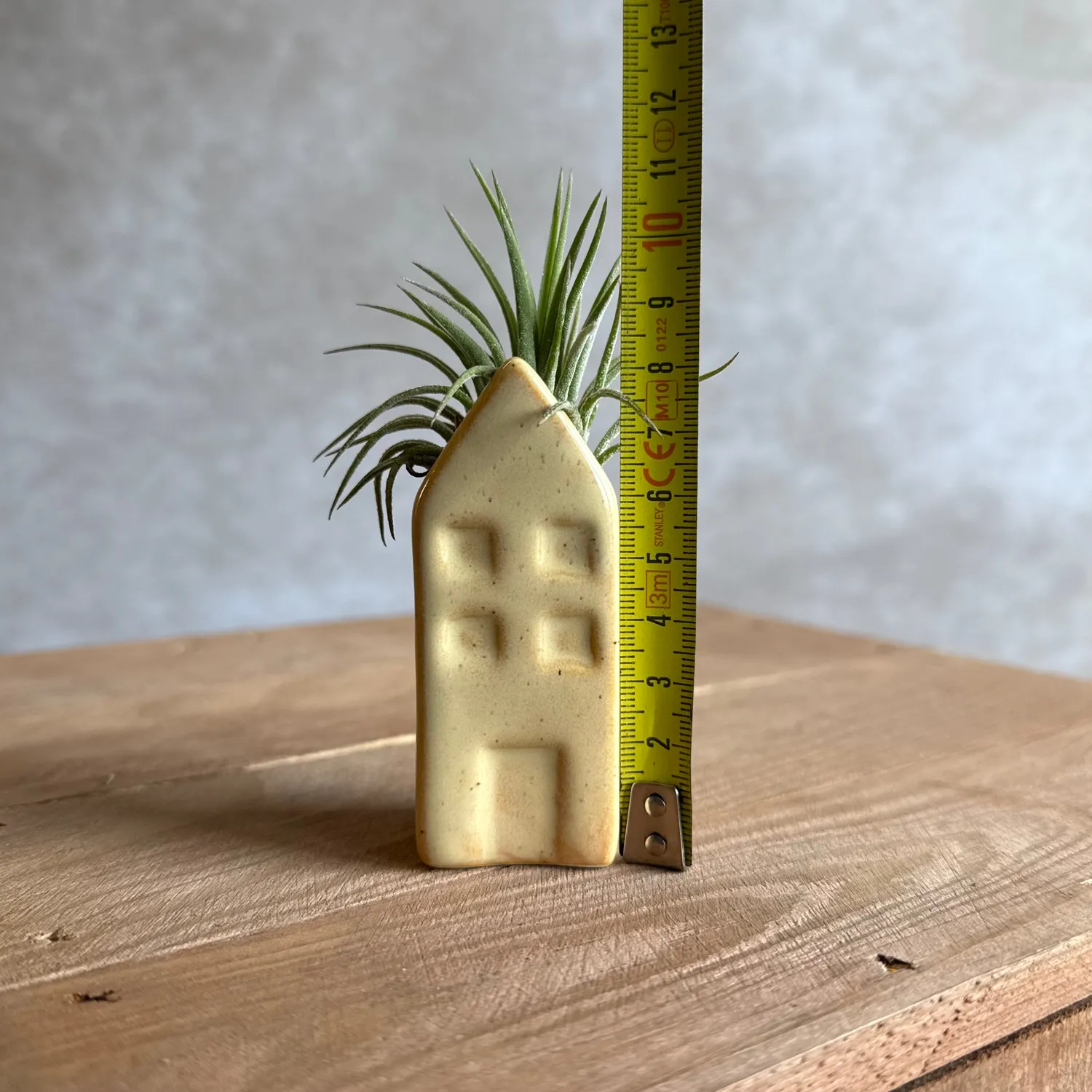 Airplantshop maison miniature Grachtenpandje Tillandsia bleu