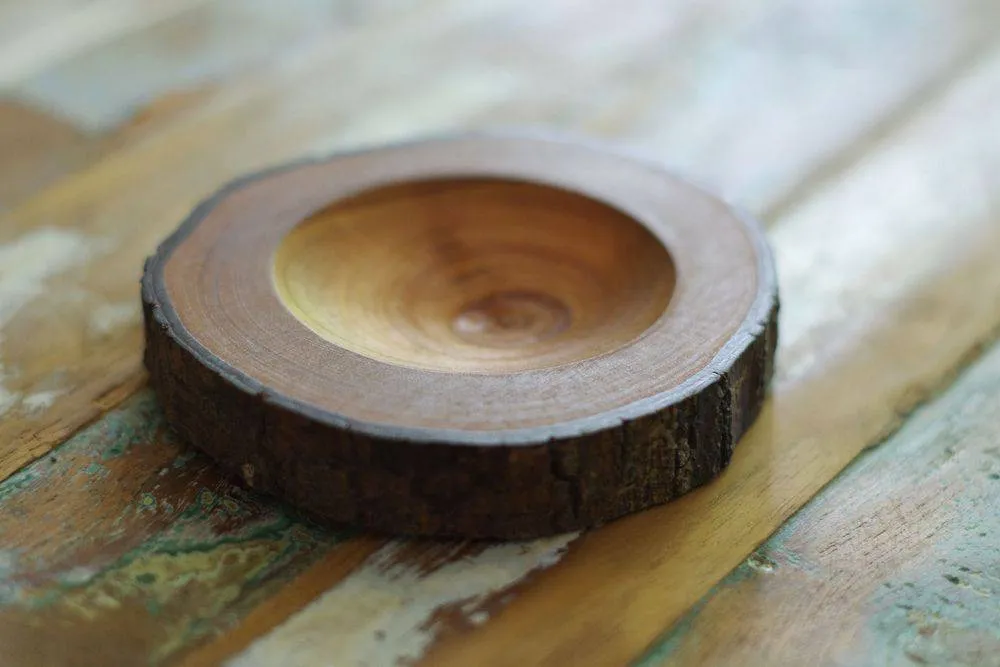 AQUAPHYTE Mahogany coupelle bois acajou Ichi Ni