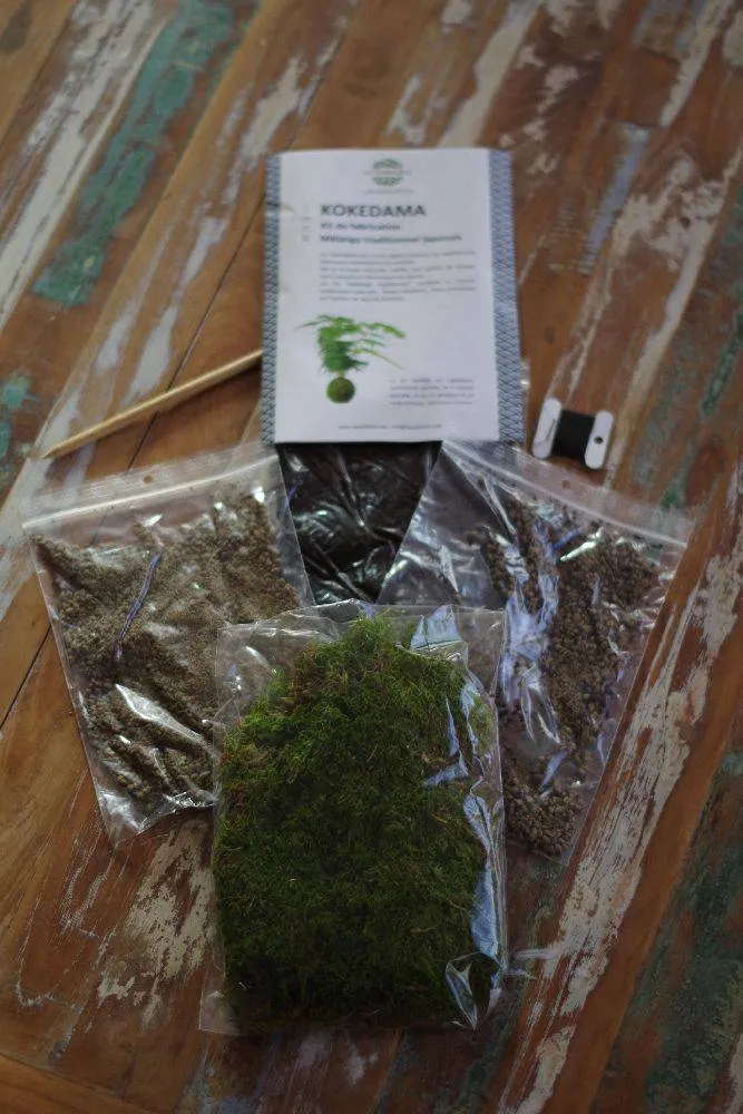 AQUAPHYTE Kit kokedama à faire soi-même complet