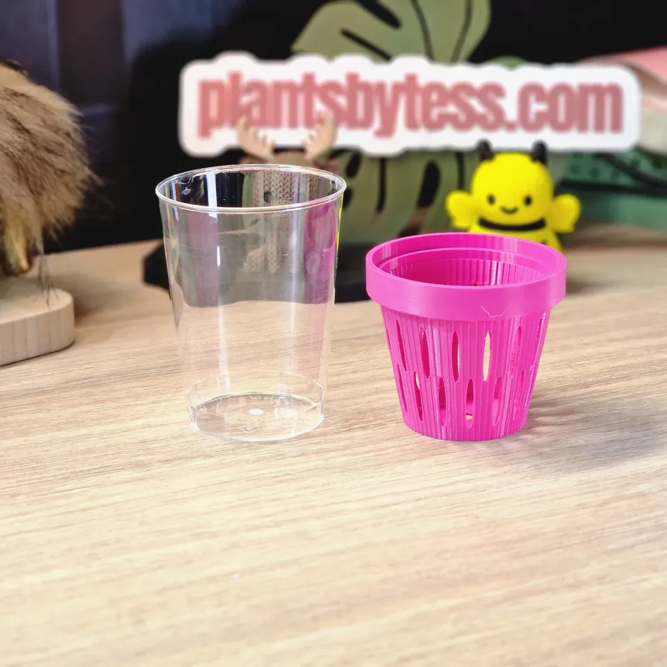 plant.ess Midi Sips pot intérieur transparent 7,5 cm