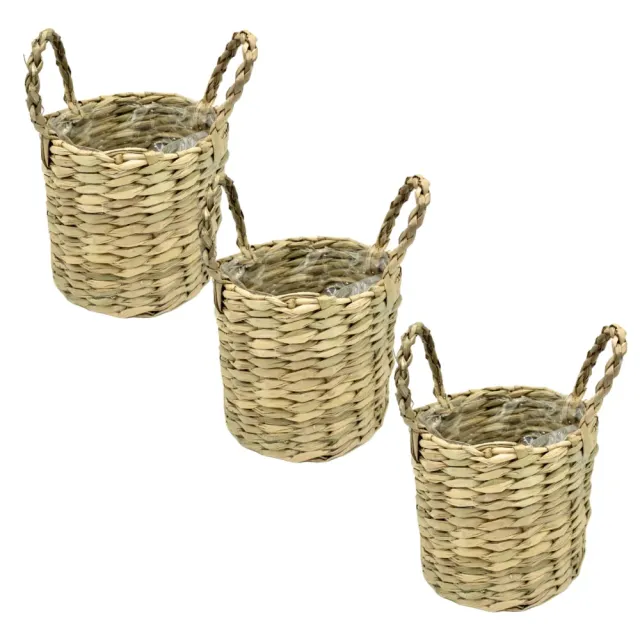 Plant and Stories trio mini cache-pots osier lot 3 naturel