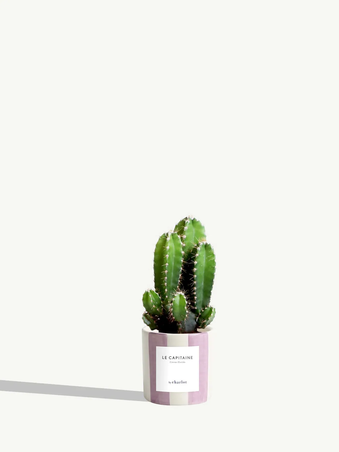 By Charlot Le Capitaine cactus miniature pot 6 cm