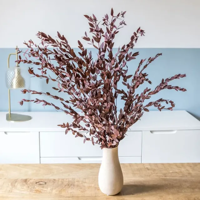 Réconciliation Végétale eucalyptus parvifolia rouge botte 150g