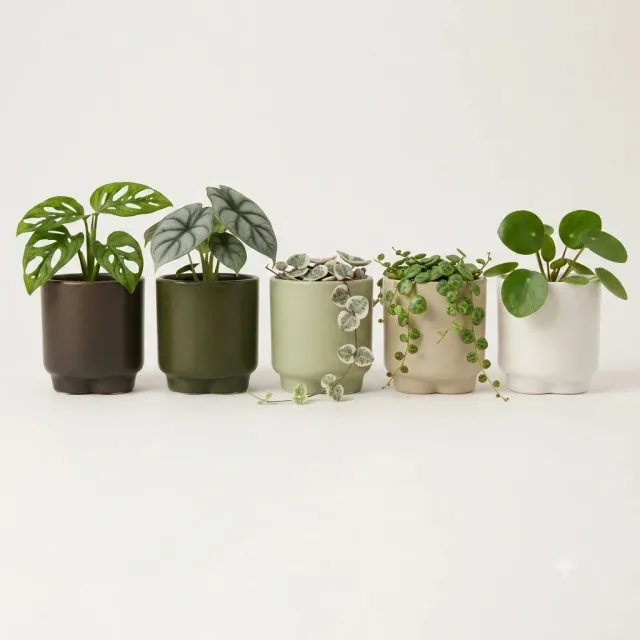 Plant and Stories Lot 5 cache-pots céramique 6 cm mat minimaliste