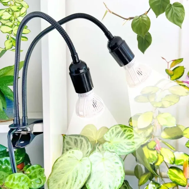 Plant and Stories Lampe horticole spectre complet 2 ampoules