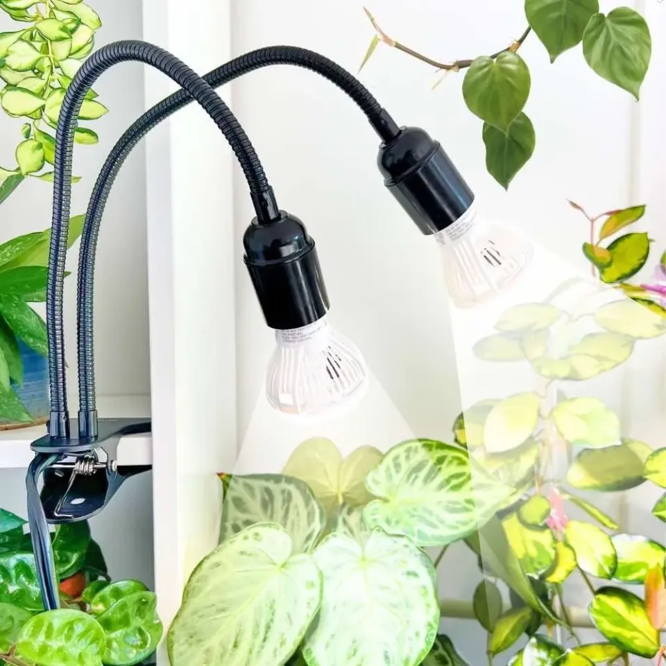 Plant and Stories Lampe horticole spectre complet 2 ampoules