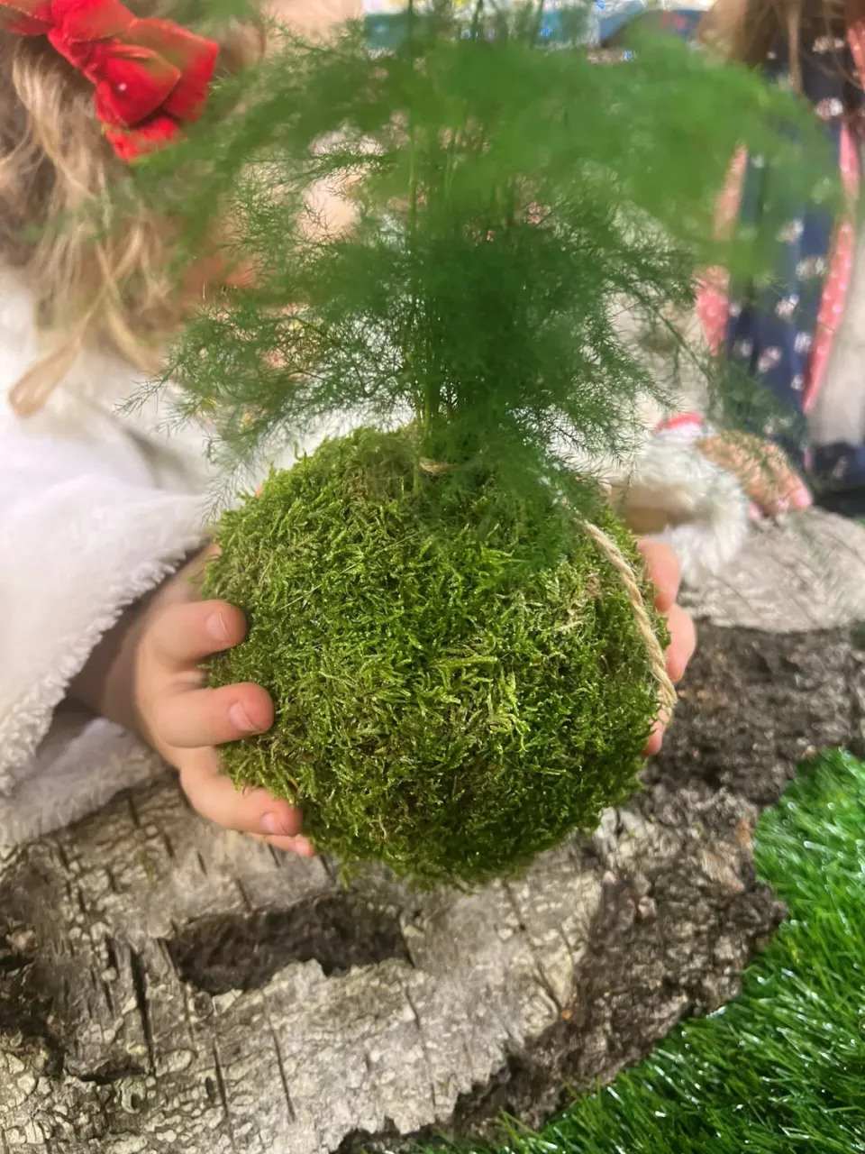Oh My Green Atelier découverte Kokedama Samedi 21 novembre 2026 10h