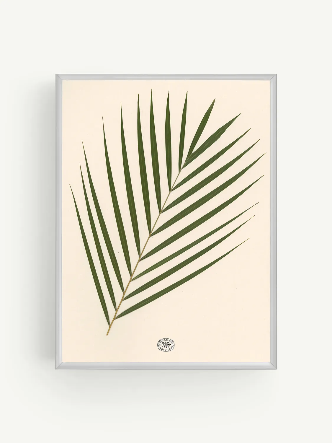 By Charlot herbier Palmier fond beige 30x40