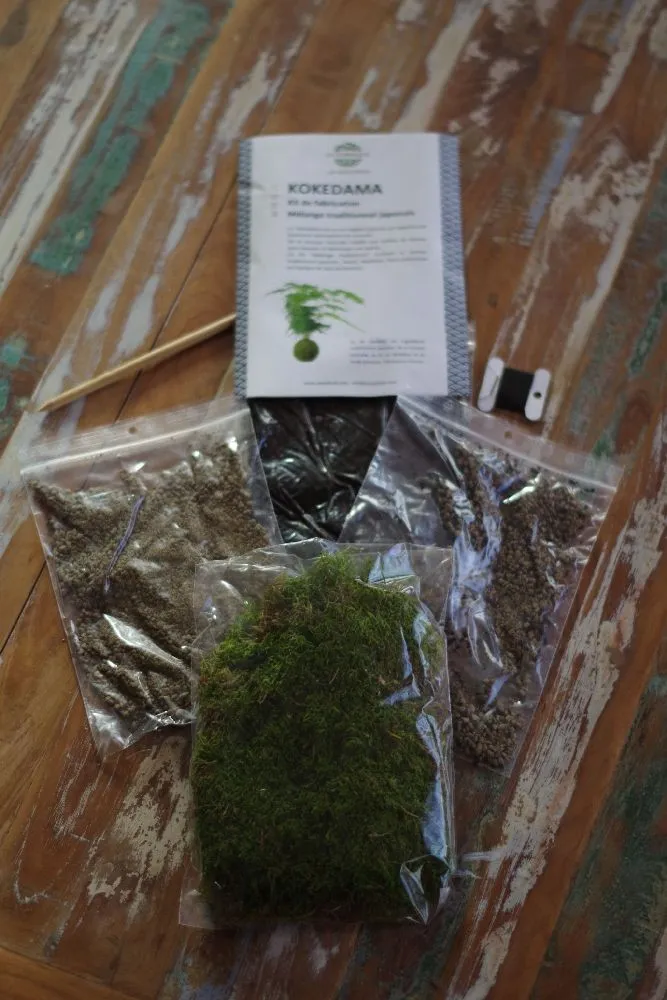AQUAPHYTE Kit kokedama + plante à faire soi-même