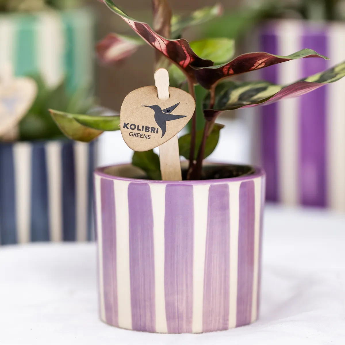 Plant and Stories Painted Stripe cache-pot céramique jaune 9 cm