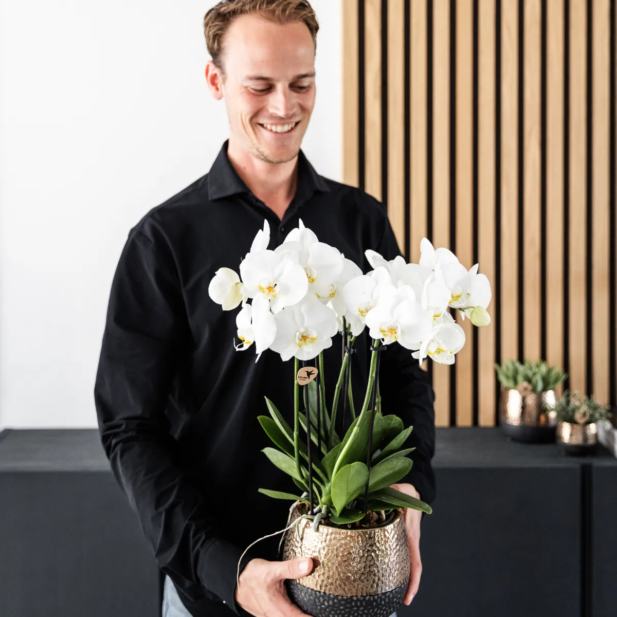 Plant and Stories Phalaenopsis orchidée blanche duo pot 12 cm