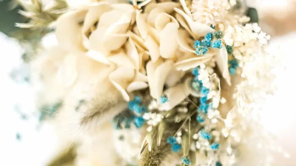 Réconciliation Végétale Bouquet demoiselle d'honneur fleurs séchées