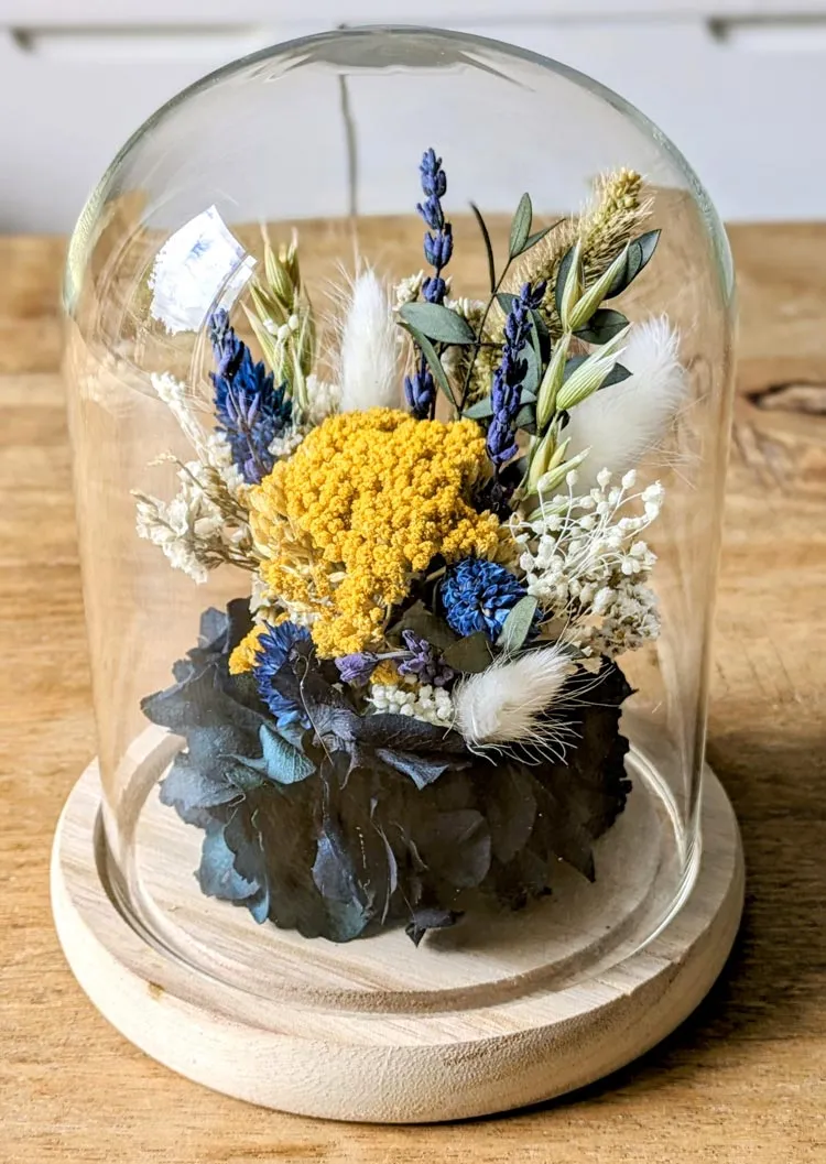 Réconciliation Végétale Angèle cloche fleurs séchées hortensia