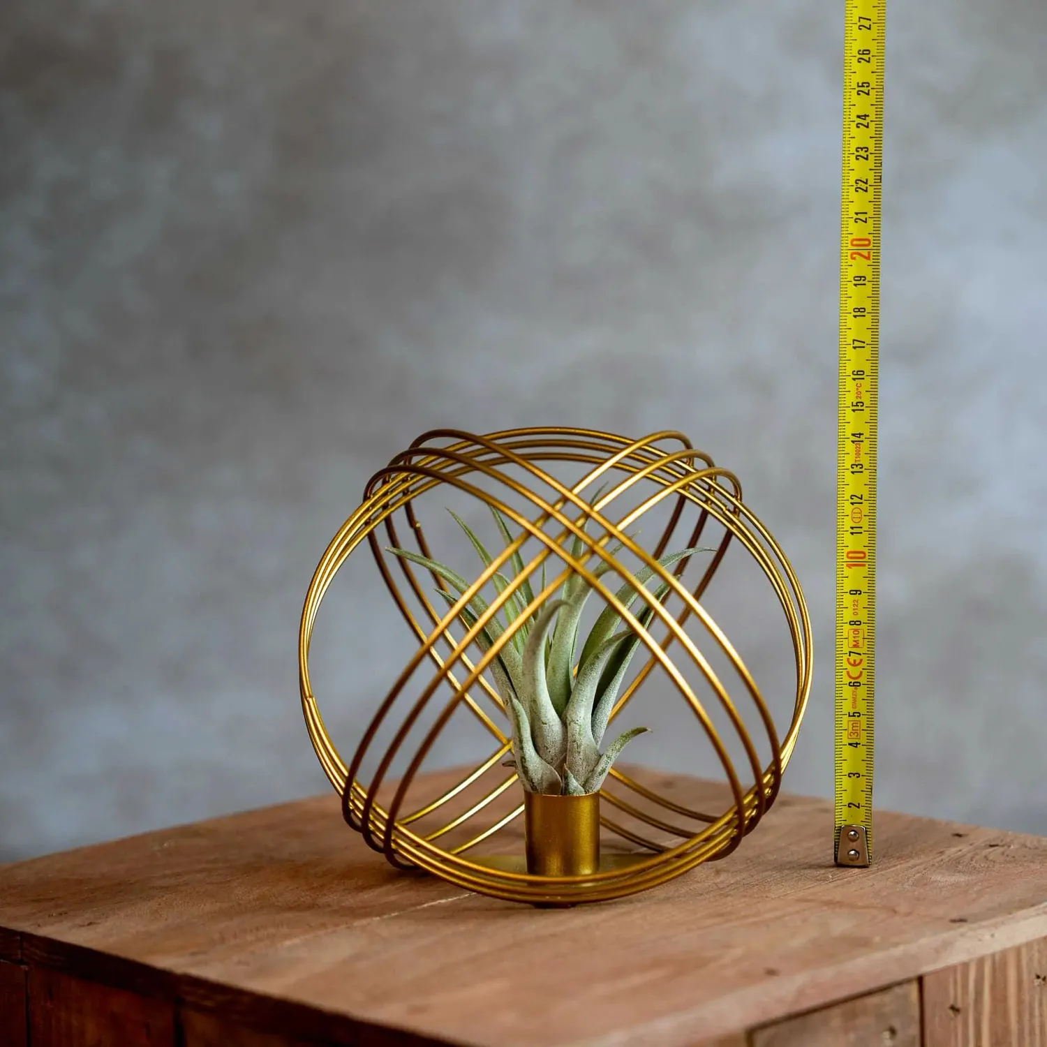 Airplantshop Bal Métal boule dorée tillandsia capitata