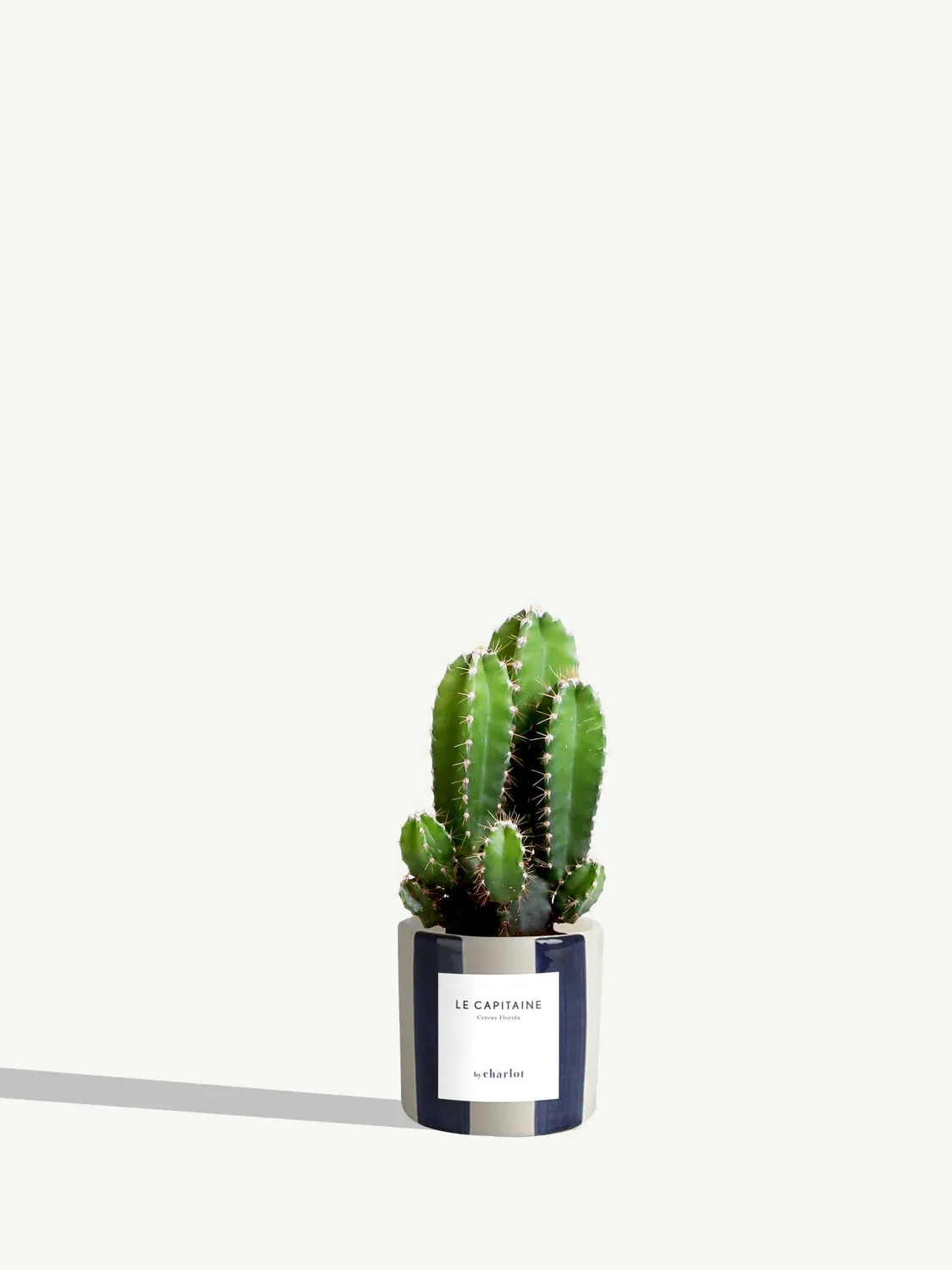 By Charlot Le Capitaine cactus miniature pot 6 cm