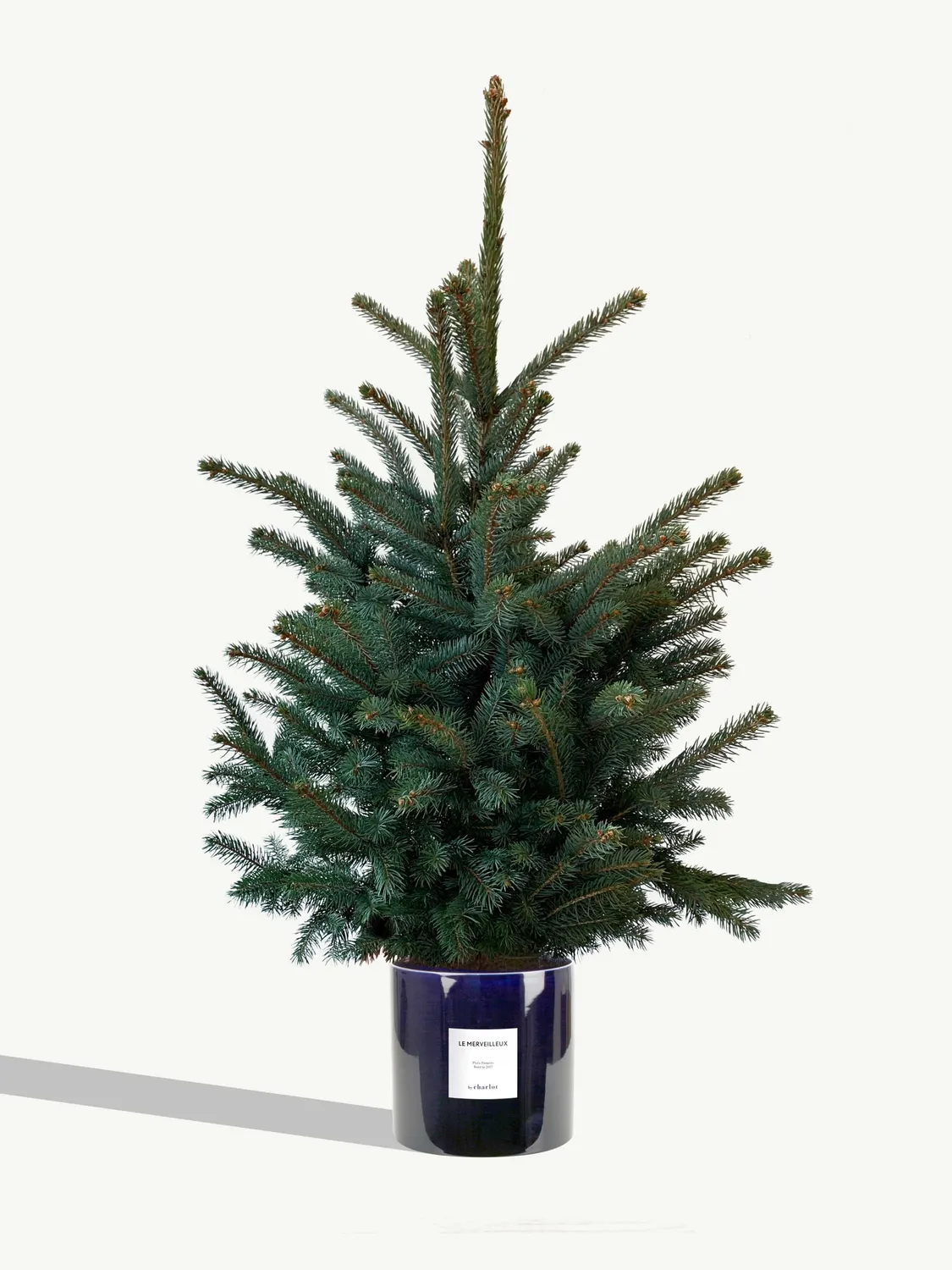By Charlot Le Merveilleux sapin 120 cm pot 24 cm coffret