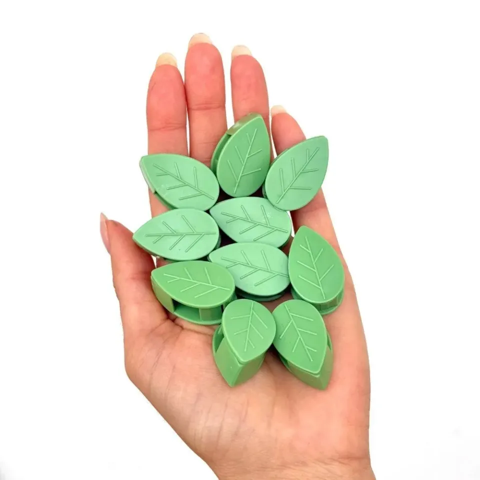 Plant and Stories Accroches Feuille Support Plantes Lot 10