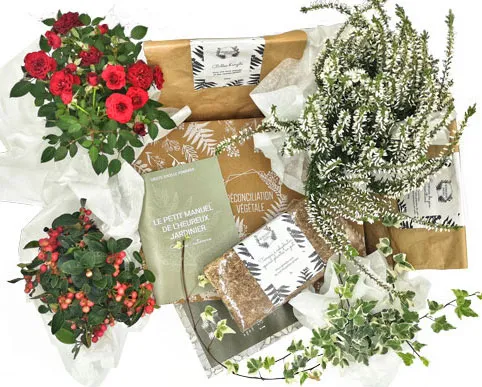 Réconciliation Végétale kit jardinage balcon ombragé 4 plantes