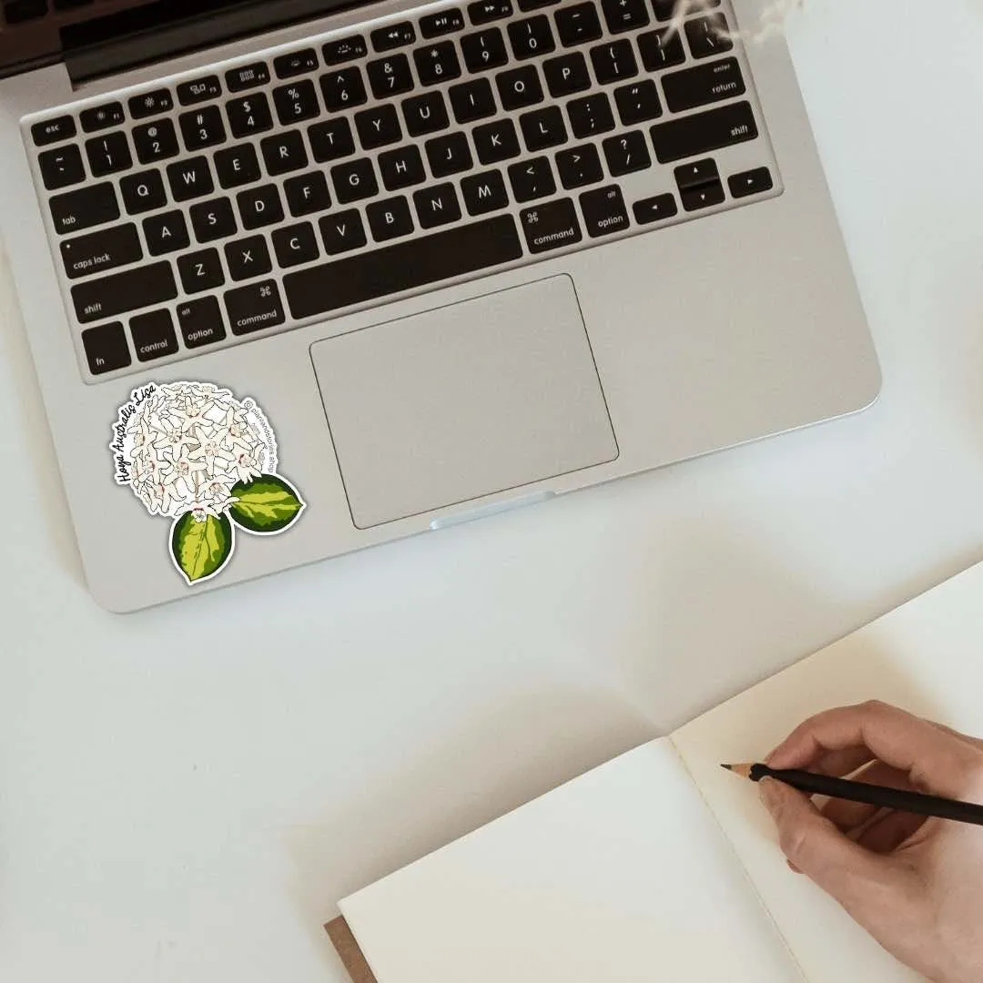 Plant and Stories Hoya Mathilde carte plante avec sticker