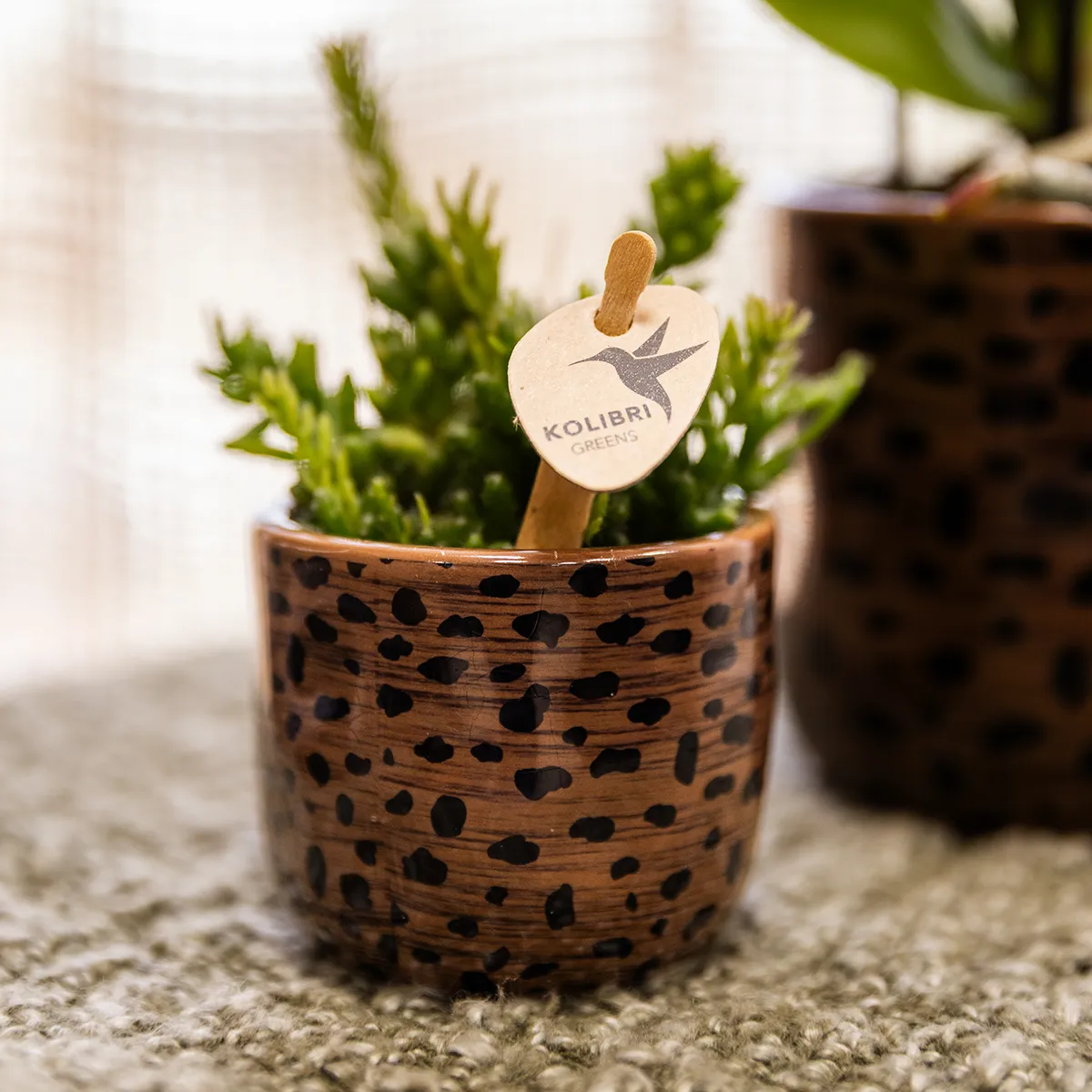 Plant and Stories cache-pot céramique léopard 9 cm