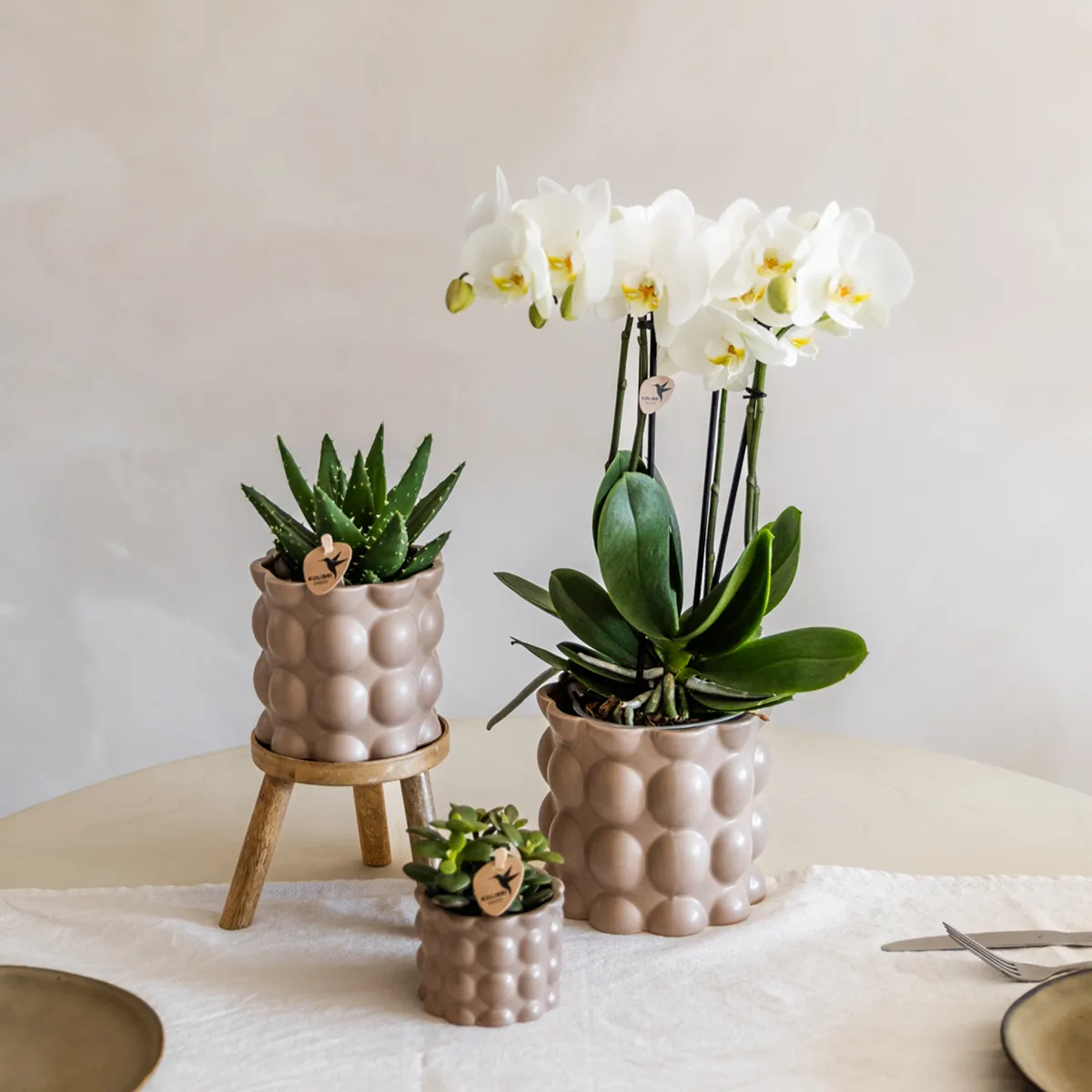 Plant and Stories Cotton cache-pot céramique 12 cm sable mat